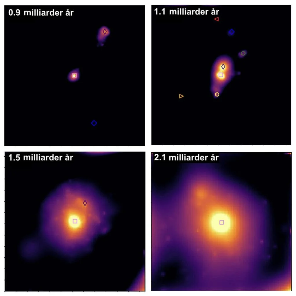 Quattro istantanee scattate dalla simulazione computerizzata dell'evoluzione di una proto-galassia che somiglia al gruppo osservato CGG-z5. La luminosità mostra la densità delle stelle nelle galassie. Credit: A. Vijiayan e S. Jin