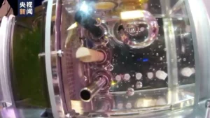 Quattro pesci zebra sono a bordo della stazione spaziale cinese Tiangong per studi sull'impatto della ambiente in microgravità sui vertebrati