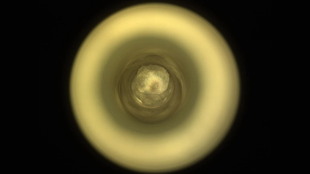 Perseverance ha raccolto un campione di roccia marziana unico nel suo genere, offrendo una rara finestra sul passato profondo di Marte