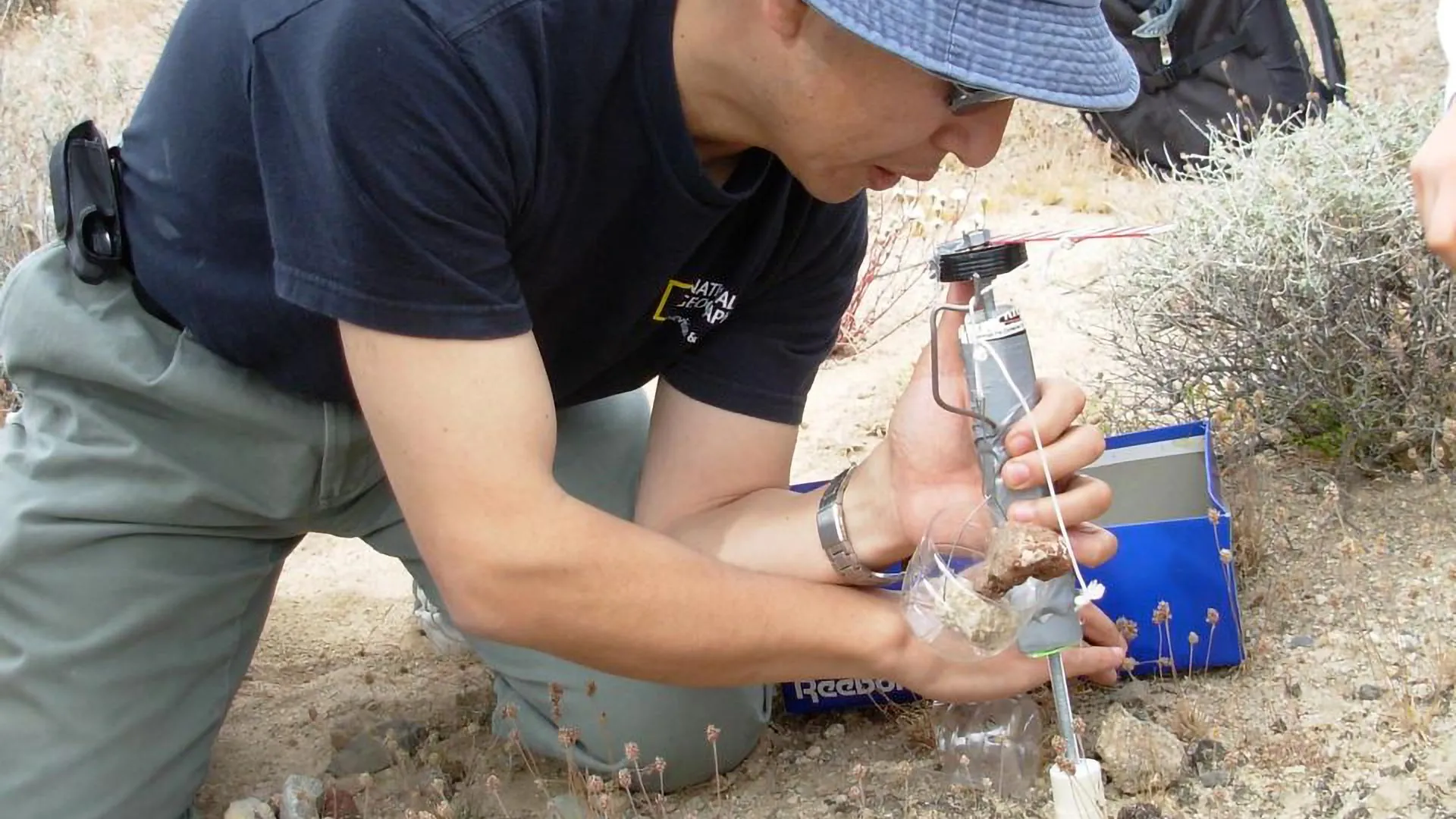 I licheni del Mojave resistono ai raggi UVC un indizio che la vita sopravvivere anche su esopianeti irradiati da stelle più violente del Sole