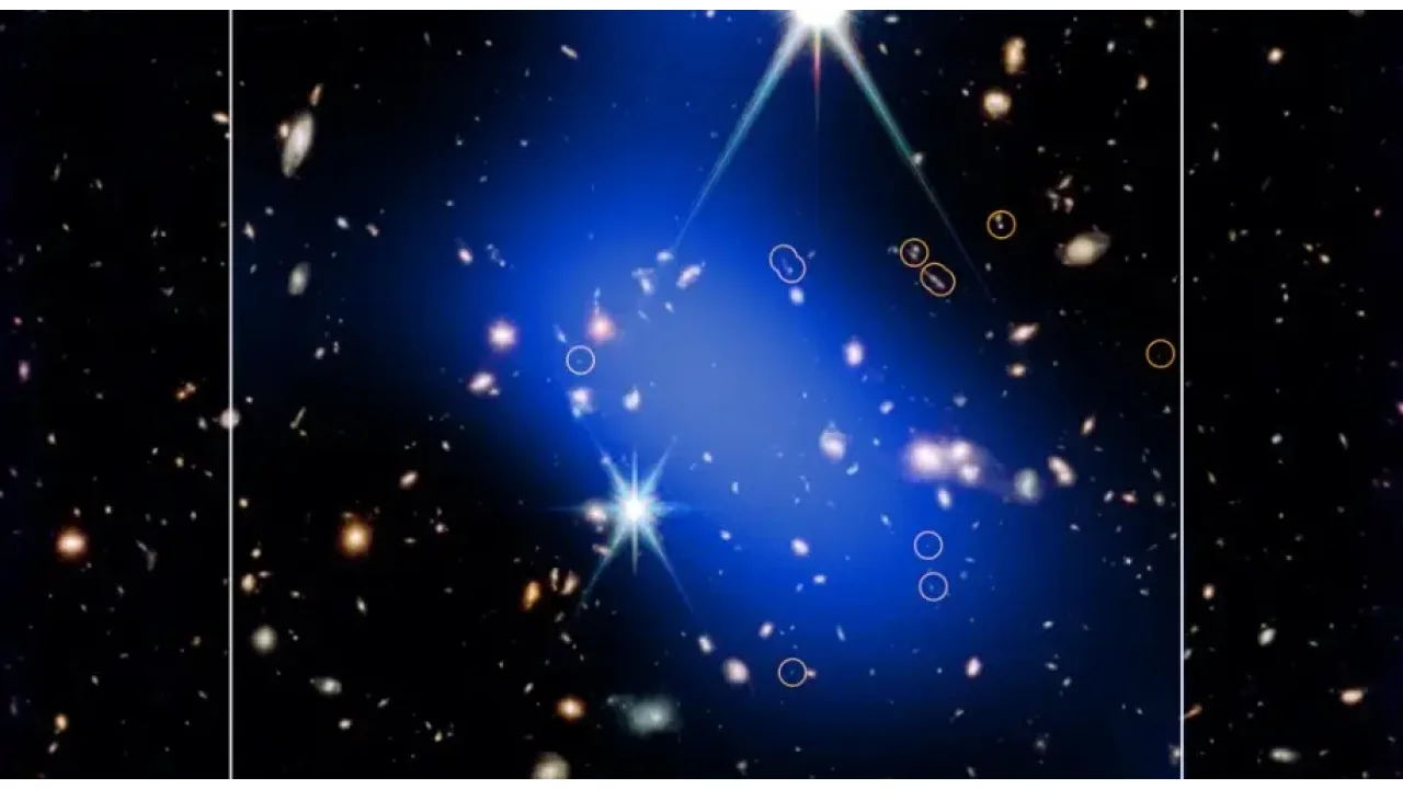 Nell'immagine gli anomali ammassi di galassie individuate grazie al lavoro congiunto di James Webb Space Telescope e Chandra.